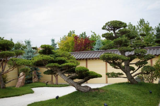 istock Japanese garden with beautiful trees and shrubs. 2161859773