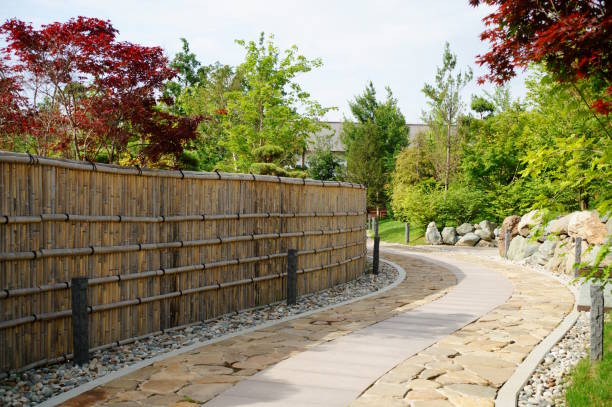 istock A beautiful natural park with trees and shrubs. Parks and nature. 2161859855