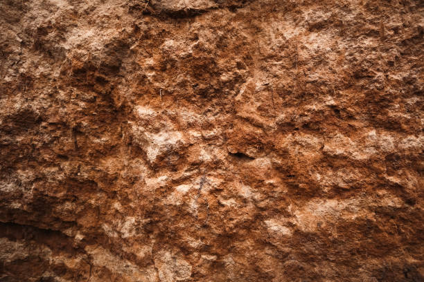 istock Soil or dirt Cross Section Close-up. Underground earth texture, cross section. Geological Layers. 2161860685