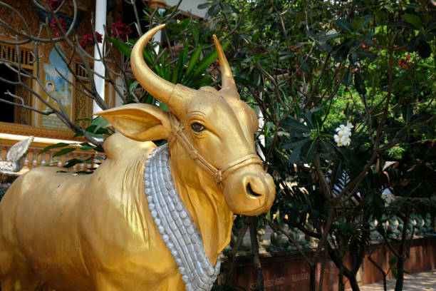 istock golden buffalo statue with silver beads in a buddhist temple 2161860781
