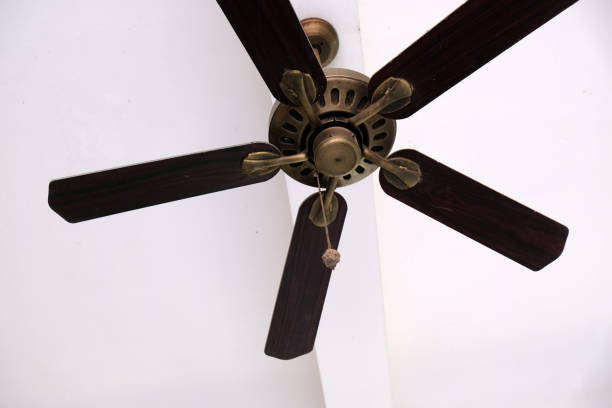 Ceiling Fan Lamp