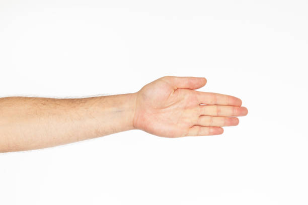 istock Male hand showing palm white background 2161861268