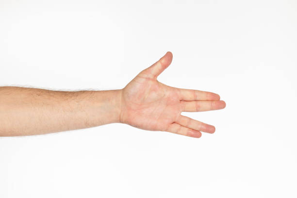 Male hand with palm open with two fingers on white background