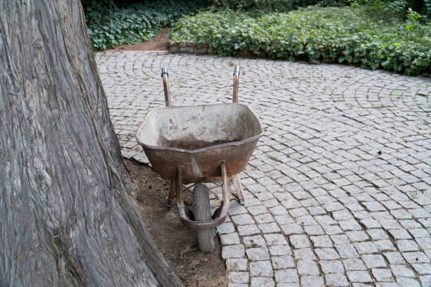 A wheelbarrow filled with trimmed leaves, showcasing the result of gardening work.