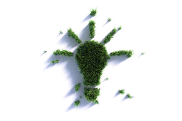 Green light bulb made of green grass on white background. Horizontal composition with clipping path. Sustainability and green energy, zero waste concept.