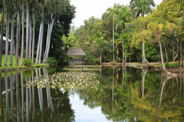 istock Tall Palm Trees, Water and a Tiki Hut 2161865494