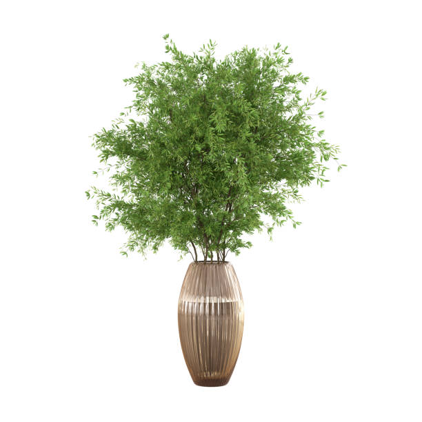 istock Green Bouquet in a glass vase 2161867674