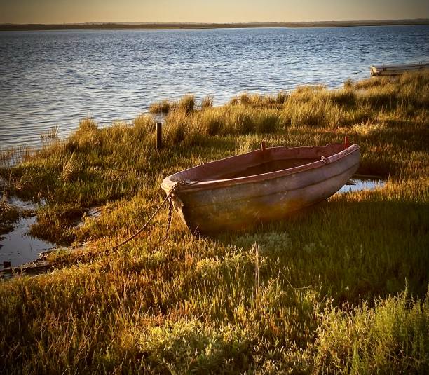 istock Boat stranded on the shore at sunset. Tranquility, relaxation and abandonment 2161870717