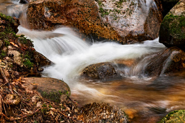 istock Small clear stream in forest in Ore mountain. 2161872782