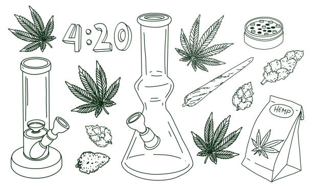 stockillustraties, clipart, cartoons en iconen met cannabis elements set bong, marijuana leaf, joint dried buds. vector illustration in doodle outline hand drawn style - marihuana gedroogde cannabis