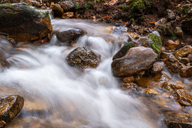 Clear mountain stream with stone in forest, spring, Ore mountain, Czech republic. Motion blur.