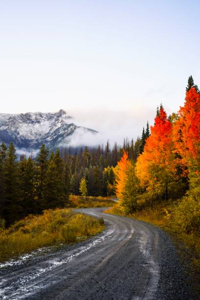 istock Driving Through the San Juan Mountains 2161883727