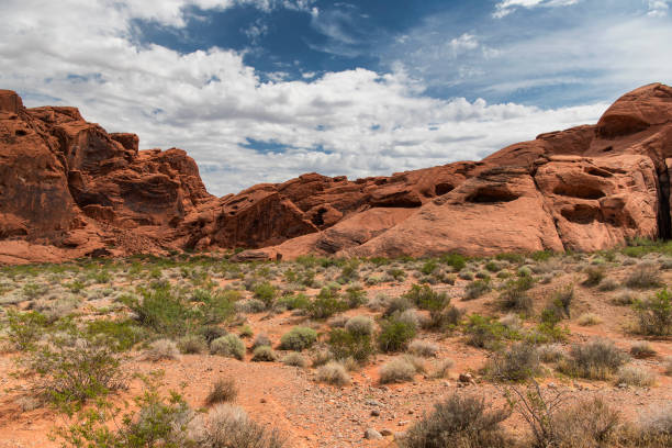 istock valley of fire landscape Moapa Valley Nevada 2161884431