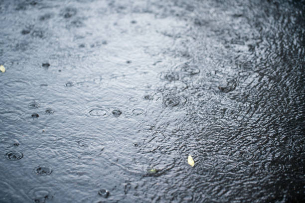 Raindrops on the surface of a puddle at the street