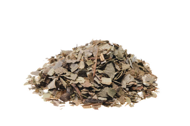 istock Dried crushed boldo leaves (Peumus boldus) 2161886942
