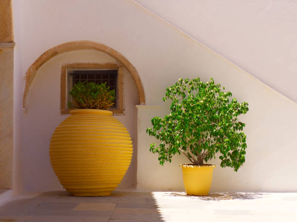 Clay pots with plants in mediterranean house in sunny day, Hydra, Saronic Gulf, Greece