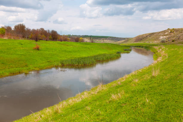 River with a green grassy bank. Scenic river flowing through lush green field. Natural scene is peaceful and serene