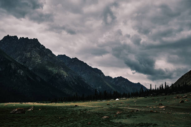 Free Stock Photo of Mountain Covered in Trees Under Cloudy Sky ...