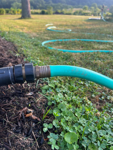 Plastic irrigation hose in a ornamental tropical garden