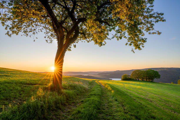 istock Landscape close to Monschau, Eifel, Germany 2161898893