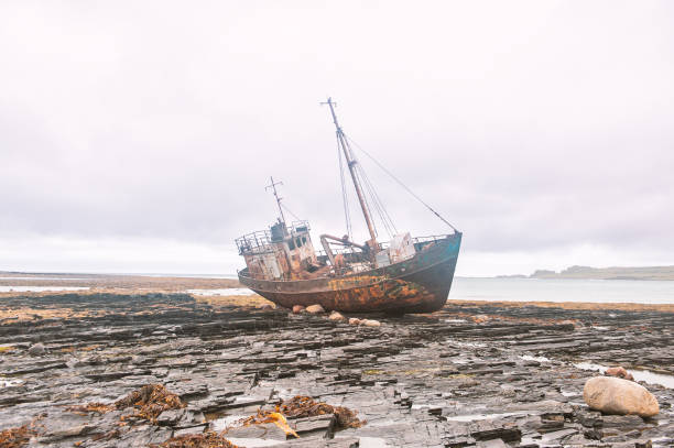 wreck of old and rusty boat washed up on the shore