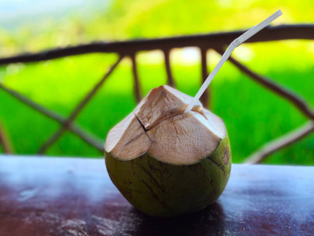 istock Young coconuts are ready to be eaten with a background of green rice fields 2161905104