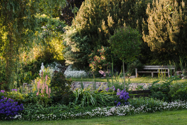 istock Backyard decorative garden landscape 2161910338