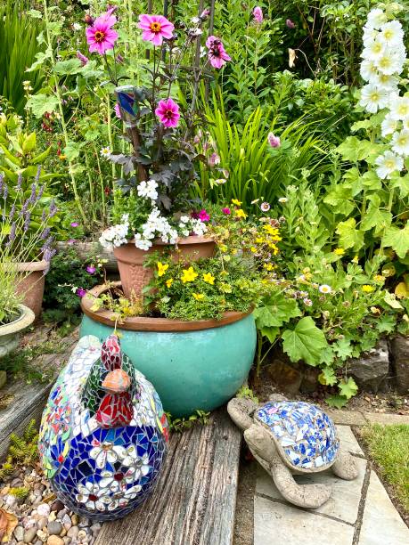 istock Summer plants in pots 2161912586