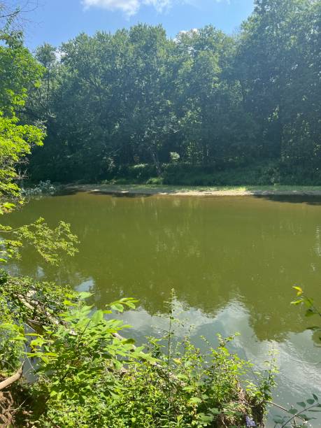 istock White river on sunny day with blue sky and trees as background. 2161913783