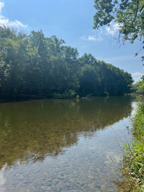 istock White river on sunny day with blue sky with trees as background. 2161913791