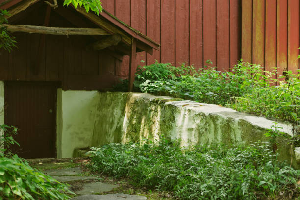 istock Americana Barn door 2161914573