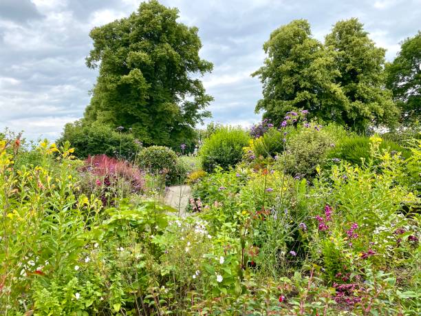 istock Colourful flowers and trees in a park 2161914791