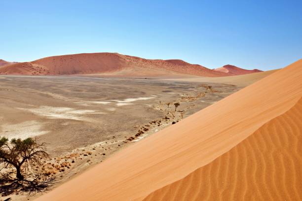 istock In the middle of sossusvlei 2161915630