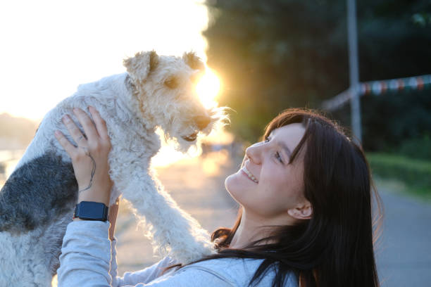 istock Smiling woman holding Fox Terrier in warm sunlight 2161925922