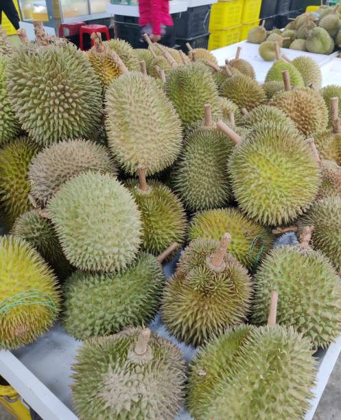 istock Durian Fruits 2161928437