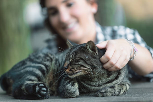 istock Woman in checkered shirt reaching for cat 2161929802