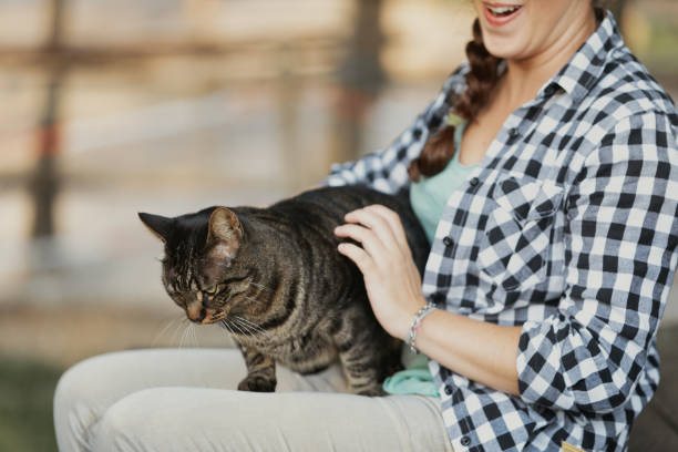 istock Woman holding relaxed cat, both smiling happily 2161930655
