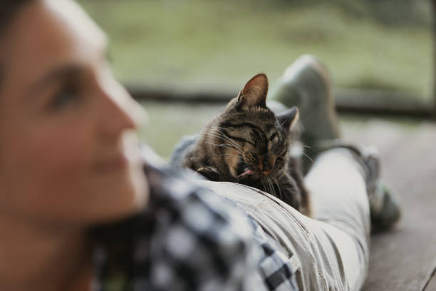 istock Woman lying down, cat grooms, feeling safe 2161930666