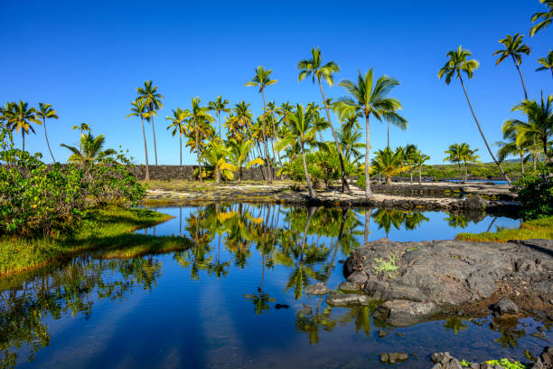A beautiful lake in the Honaunau Bay on the west coast of Big Island, Hawaii
