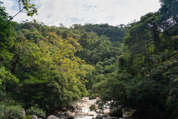 istock Small river in a Colombian landscape 2161934173