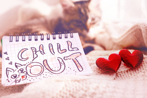 Text Chill Out on paper, notepad and two hearts. Pretty cute kitten relaxing on the bed. Tabby cat. Funny pets. Gifts, Vacations, Valentines Day, Birthday, Dating
