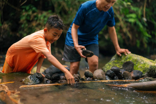 Pre Adolesence Boy Playing in Shallow River Building Rock Dam With Father