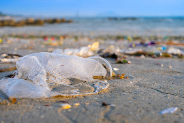 istock trash, plastic cups and plastic bags at the beach. environmental problem concept and healing the world 2161937628