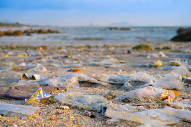 istock trash, plastic cups and plastic bags at the beach. environmental problem concept and healing the world 2161937629