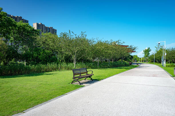 istock Pathway bench in the city park 2161939514