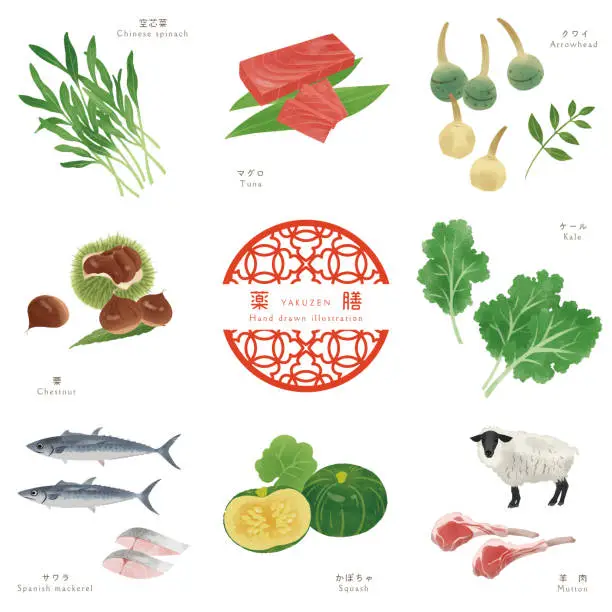 Vector illustration set of medicinal food-18 Vector illustration set of medicinal food-18