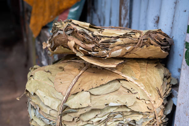 Leaf plates (pattal plates) made from bundles of dried leaves for sale in the Old Delhi market.