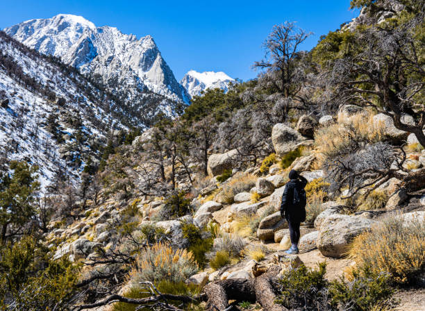 istock Female Hiker With Snow Capped Sierra Nevada Mountains 2161941009