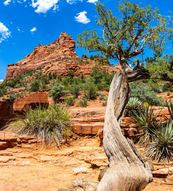 The Devils Kitchen Sinkhole at The Base of The Sphinx Formation, Coconino National Forest, Sedona, Arizona, USA