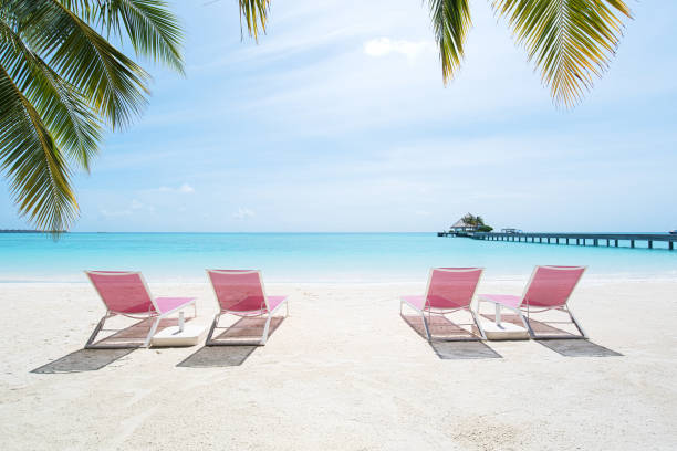 istock Sunny tropical beach with sun loungers 2161941774